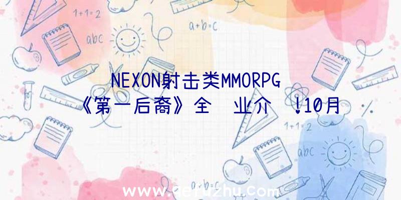 NEXON射击类MMORPG